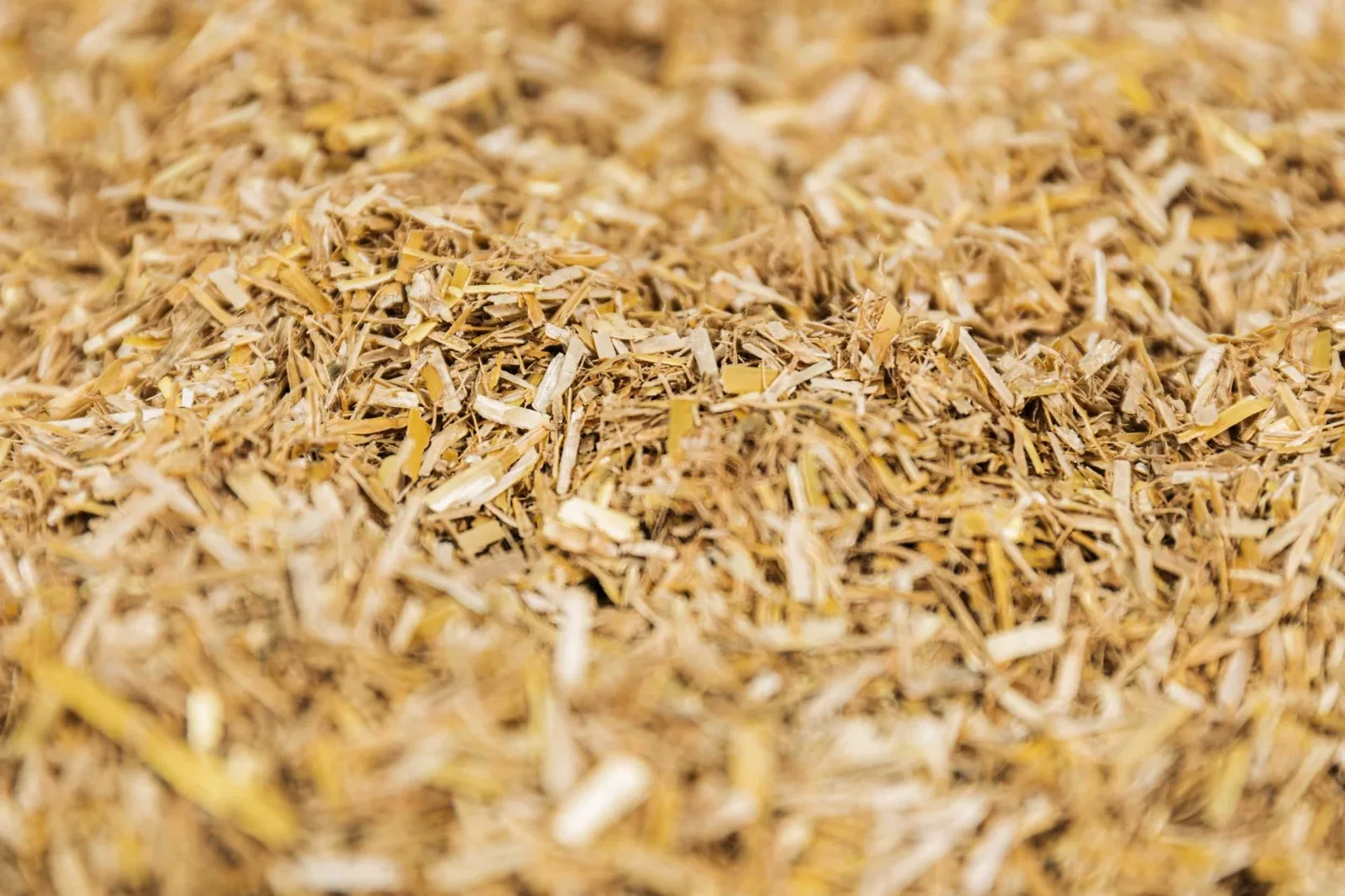 Takkenkamp & Wonion: biobased isolatie volgen